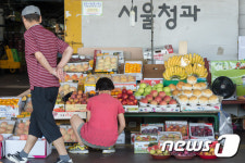 폭염에 과일값 금값