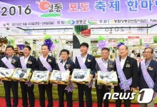 새콤달콤 영동포도 맛보세요!