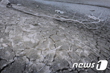 심각한 여름가뭄