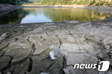 여름가뭄에 바닥이 쩍쩍