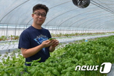 [인생2막 귀농] 분무수경재배 쌈채소 주 1회 회원 200명 식탁에