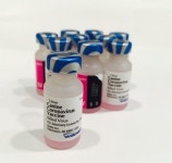 가정에서 접종하는 개·고양이 백신, 동물약국서 복약지도 받으세요