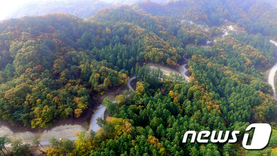 추석 연휴 산림청, 산불과 산사태 대비에 비상근무 돌입