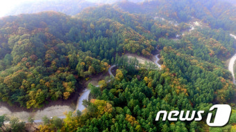 추석 연휴 산림청, 산불과 산사태 대비에 비상근무 돌입