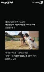 서귀인명-50 | [펫카드] 사람보다 '후각 1만배, 청각 50배' 인명구조견