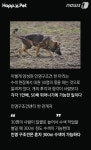 서귀인명-50 | [펫카드] 사람보다 '후각 1만배, 청각 50배' 인명구조견
