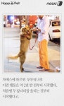 [펫카드] 내가 안아줄게요 사랑을 전하는 개 루부티나
