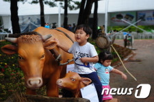 “장수한우랑사과랑 축제 놀러 왔어요”