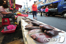 대목장 경기 사라진 죽도어시장