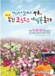 하동북천 코스모스·메밀꽃축제…19일∼내달 3일