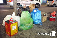 춘천 대학로 가로수는 쓰레기로 몸살