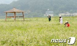 한폭의 수채화