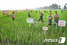 北 북부산간 협동농장, 홍수피해·인력난 이중고-RFA