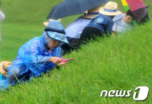 왕릉 벌초는 정성으로