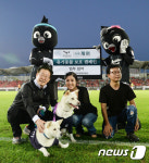 성남FC-케어 유기동물 보홈 캠페인 업무협약