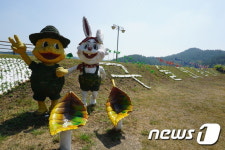 [전북의 숨은관광지⑤]길따라 이야기 펼쳐진 군산 구불4길