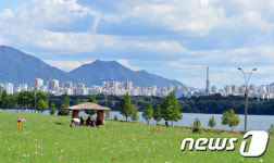 코스모스 피는 가을