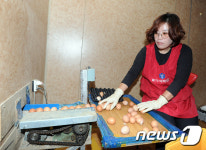 [인생2막 귀농]부지런함으로 승부…월 5000만원 매출 부부