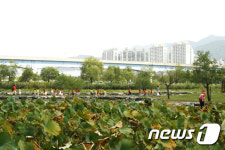 [시티투어 탐방] 자연 벗삼아 낙동강변 달린다…낙동강 에코버스