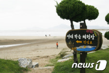 [시티투어 탐방] 자연 벗삼아 낙동강변 달린다…낙동강 에코버스