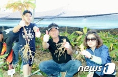 증평 인삼골축제 ‘꼭 가봐야 할 3년 연속 유망축제’ 주제 선정