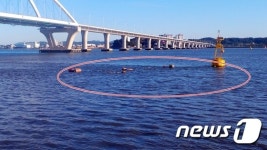 군산 내항서 바지선 침몰…운항선박 주의