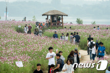 가을을 느끼며