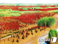 中산둥성 여유발전위, 산동 여행전문가 과정 개설