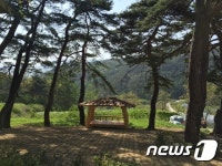 산림청 ‘전통 마을숲’ 41곳 복원… 후계림 조성 등