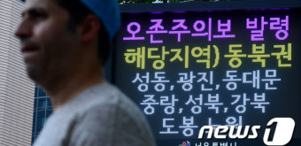 '오존주의보' 발령 역대최다…미세먼지에 밀려 대책 실종