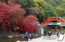 ‘추억해 기억해’…태백 철암단풍축제 7일 개막