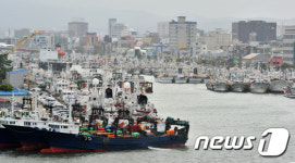 제18호 태풍 차바 피해 온 어선들