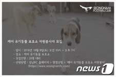 동물단체 케어, 성남FC 구단과 함께 하는 자원봉사자 모집