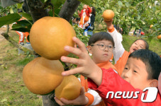 중랑구, 어린이집 배수확 체험 마련