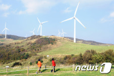 [화보·영상]하늘 아래 해발 800m…대관령 하늘목장 가을