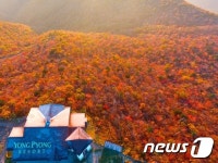 오 매 단풍들것네