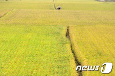 가을이 익어가요