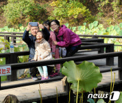 [화보]‘가을단풍 속에 산소 길을 걷다’…홍천군 수타사