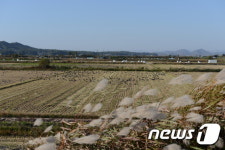 22일 김포 평화누리길 3코스서 ‘자전거투어’ 개최