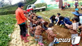 울산 북구 자연체험학습…“수해 피한 고구마 기쁨 두배”