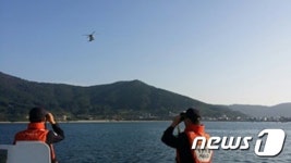 통영해경, 거제 윤돌섬 앞바다 스킨스쿠버 실종자 수색