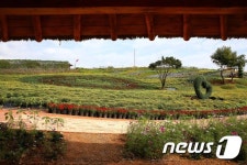 화순 남산공원, 국화향연 개막 앞두고 힐링정원 변신