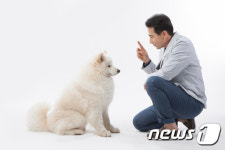 [펫스쿨] 반려견에게도 체벌은 독이다