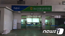 제천농협 농산물공판장 경력 1~3년 초보 경매사 배치 논란