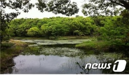 제주 선흘곶자왈·습지 국립공원 지정 추진