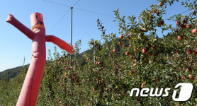 바람에 춤추는 에어 허수아비