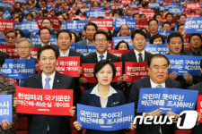 민주당 '박 대통령 진상조사 촉구한다!'
