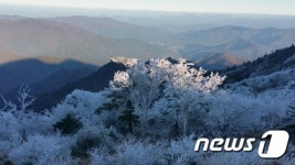 지리산 장터목대피소 주위 상고대피어
