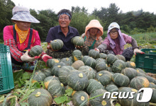 [인생2막 귀농]바다 사나이서 농부로…농업법인 대표 신길호씨