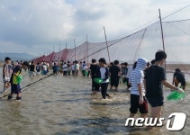 함평군,12일 돌머리해수욕장서 개막이 체험행사